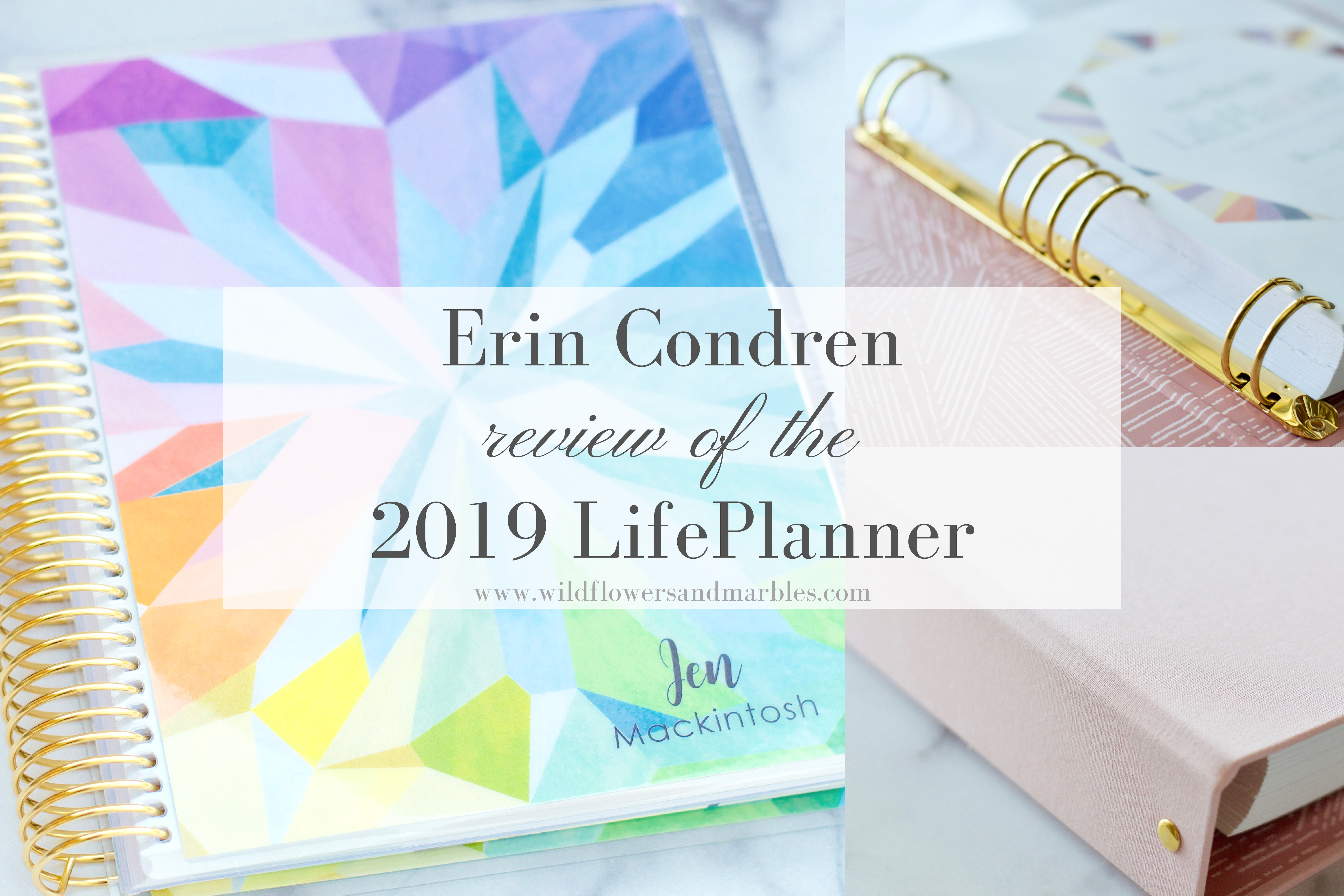 NEW Erin Condren Gratitude Journal Petite Planner with Stickers & Pocket