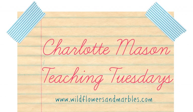Charlotte Mason Teaching Tuesday – See That He Knows – {Bonus: Silent Narrations}