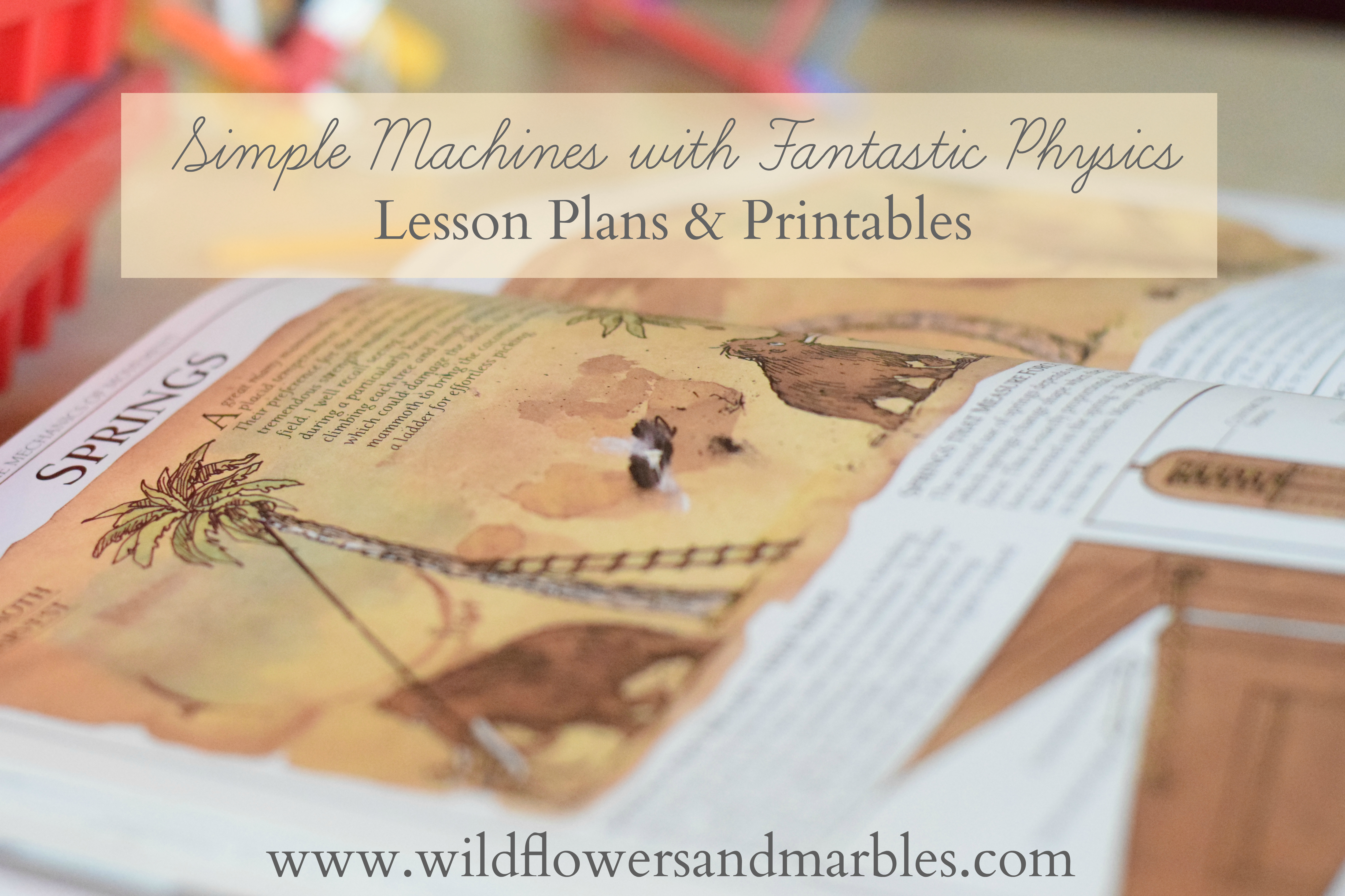 Simple Machines Physics Lesson Plans & Printable | Updated
