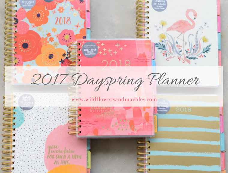 Loved Beyond Measure - Floral Agenda Planner - DaySpring | DaySpring