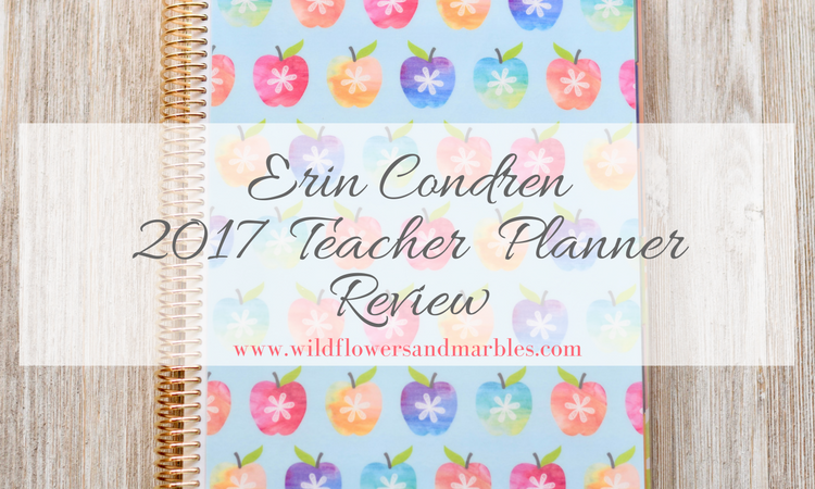 Review: Erin Condren 2017 Teacher Lesson Planner
