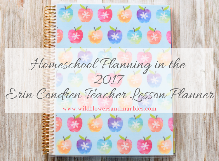 Erin Condren Teacher Planner as Homeschool Planner – Video Walk Through