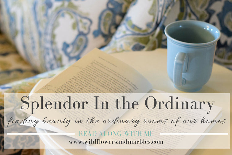 Splendor In the Ordinary – the Household (index post)