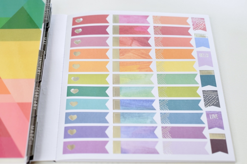  Classic Sticker Book in Colorful Mid Century Circles, Decorate  Your Paper Crafts, Label, Color Code Your Planner and Calendar with  Beautiful Stickers by Erin Condren : Office Products