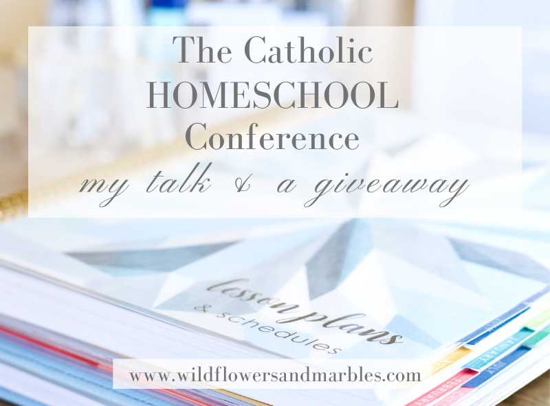 The Catholic Homeschool Conference My Talk and A Giveaway